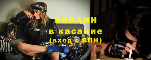 ПСИЛОЦИБИНОВЫЕ ГРИБЫ Корсаков