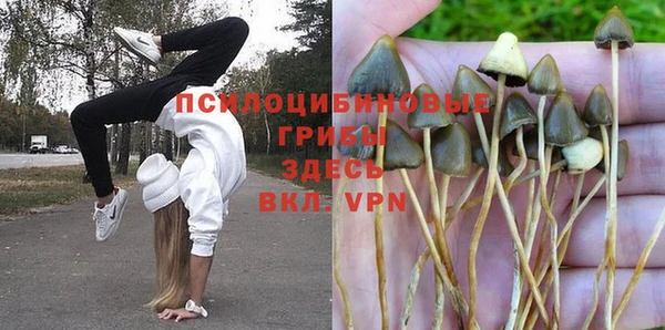 МДМА Козловка