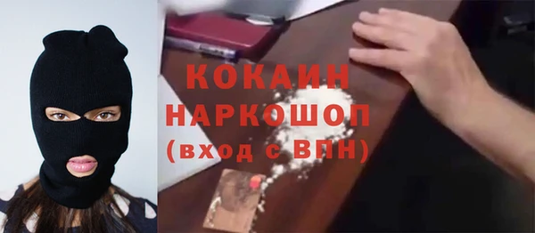 ПСИЛОЦИБИНОВЫЕ ГРИБЫ Корсаков