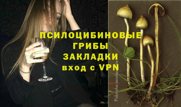 PSILOCYBIN Костерёво