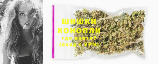 PSILOCYBIN Костерёво
