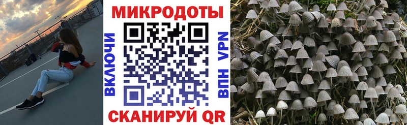 Псилоцибиновые грибы Magic Shrooms кракен зеркало Михайловка